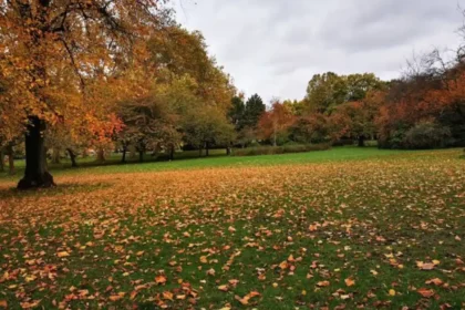 Best Parks and Green Spaces to Explore in Lewisham London