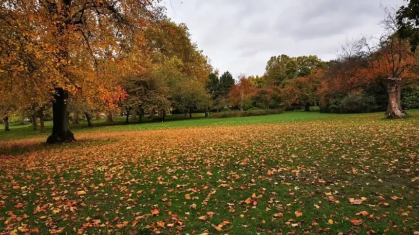 Best Parks and Green Spaces to Explore in Lewisham London