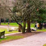 Best Walking Routes and Nature Trails in Bromley for Tourists and Residents