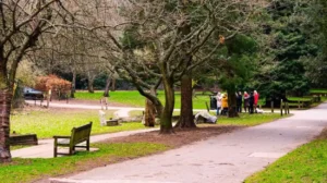 Best Walking Routes and Nature Trails in Bromley for Tourists and Residents