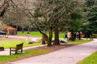 Best Walking Routes and Nature Trails in Bromley for Tourists and Residents