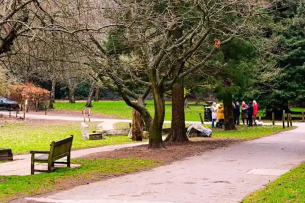 Best Walking Routes and Nature Trails in Bromley for Tourists and Residents