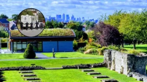 Bexley Reserve Stabbing Investigation Escalates: Christchurch 2026