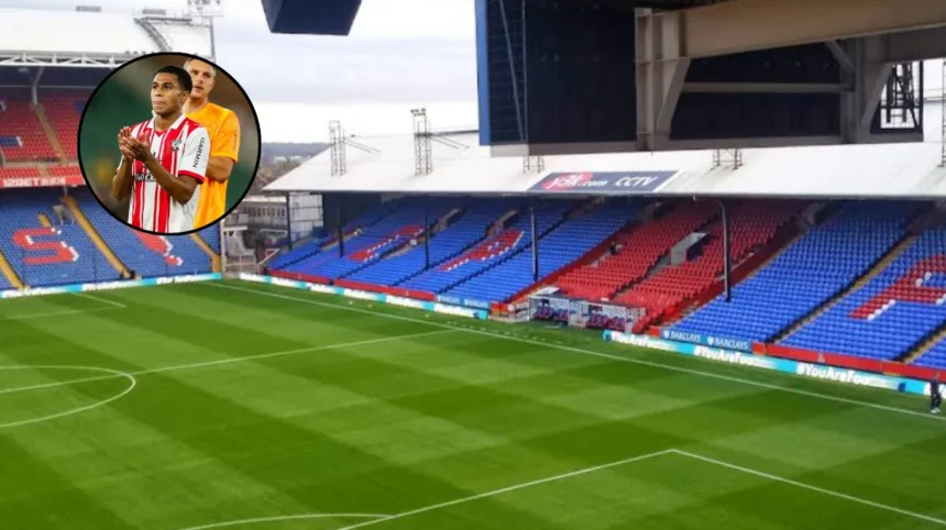 Crystal Palace Transfer Updates Under Pierre Sage: South London 2026