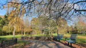 Discover the Absolute Best Historic and Green Places to Visit in Bromley