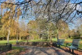 Discover the Absolute Best Historic and Green Places to Visit in Bromley