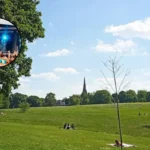 Field Day 2026: Sold-Out Brockwell Park Festival Heatwave Brockwell Park, 2026