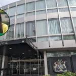 Green Candidate Esther Lie Wins Lewisham By-Election 2026; South London 2026