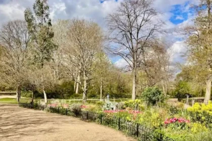 Hidden Gems in Lewisham: A Complete Guide for Curious Visitors to Explore