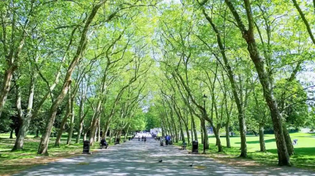 How can digital nomads and business travellers use walking routes in Bromley?