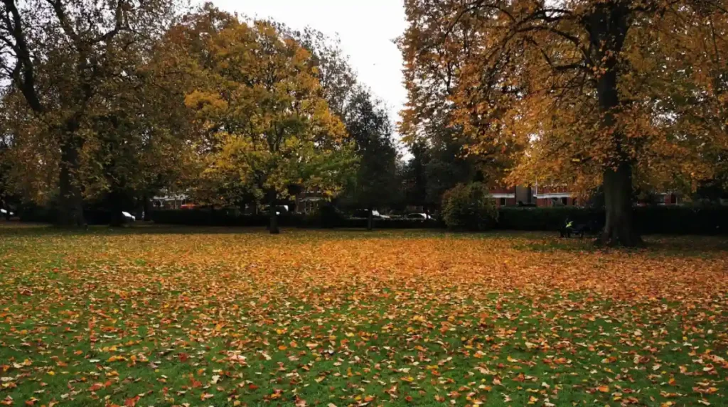 How does Lewisham support digital nomads and business travellers?