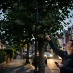 How to report a tree blocking street lights in Kingston