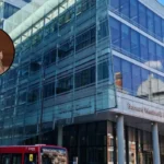 Mice and Cockroaches Running Riot in Croydon Council Homes 2026