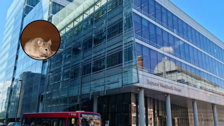 Mice and Cockroaches Running Riot in Croydon Council Homes 2026