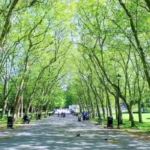 Top Family-Friendly Attractions in Bromley for Affordable Days Out