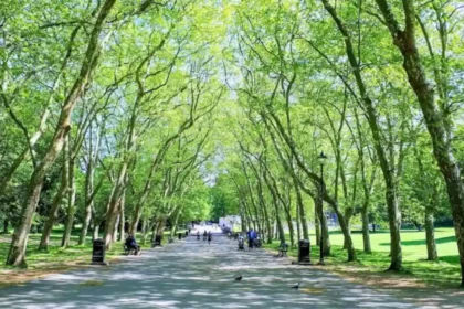 Top Family-Friendly Attractions in Bromley for Affordable Days Out