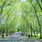 Top Family-Friendly Attractions in Bromley for Tourists and Kids