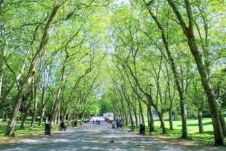 Top Family-Friendly Attractions in Bromley for Tourists and Kids