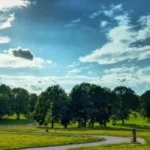 What Are Lewisham’s Most Beautiful Parks and Gardens?