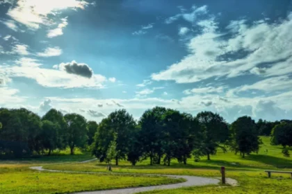 What Are Lewisham’s Most Beautiful Parks and Gardens?