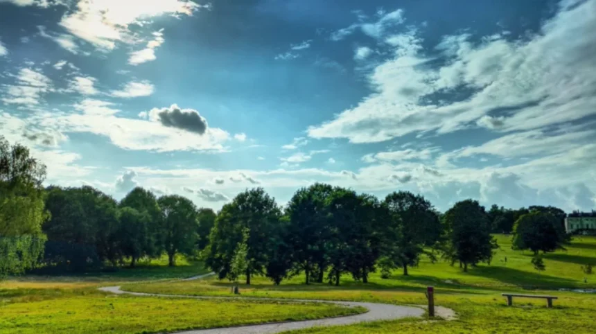 What Are Lewisham’s Most Beautiful Parks and Gardens?