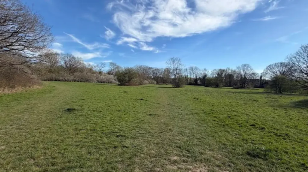 What Are the Best Free Parks and Nature Reserves in Bromley?