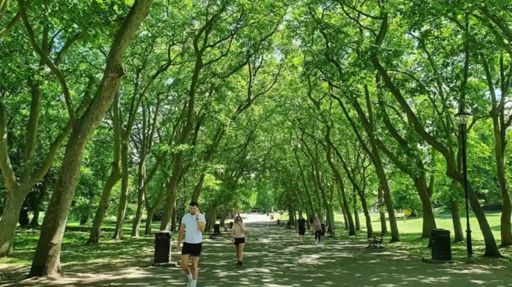 What Are the Best Parks and Green Spaces to Explore in Bromley?