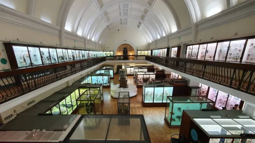 What Are the Best Things to Do in Lewisham for Tourists?