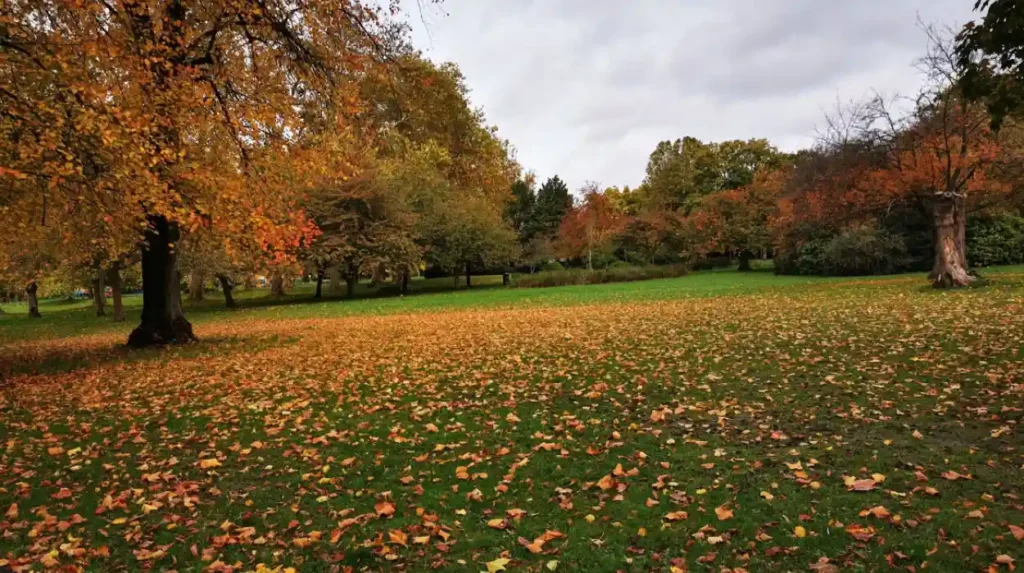 What makes Lewisham a family-friendly borough?