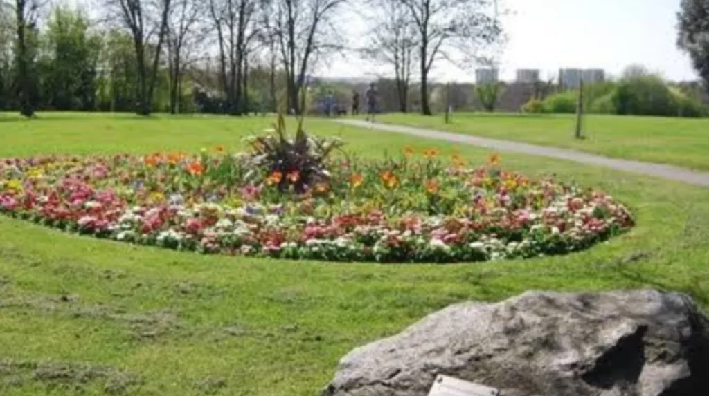What unique natural and educational experiences can families enjoy in Bromley?