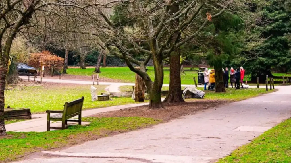 Which Historical Landmarks Offer the Best Visitor Experience in Bromley?
