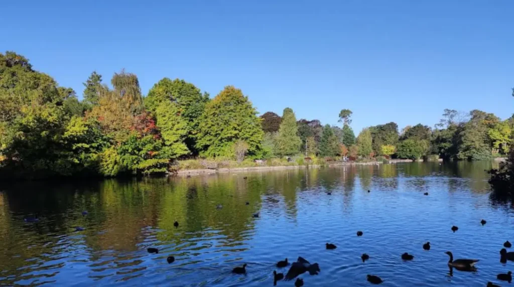 Which is the most beautiful park in Bromley for tourists?