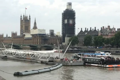 Best Seasonal Activities in Lambeth: Year-Round Guide