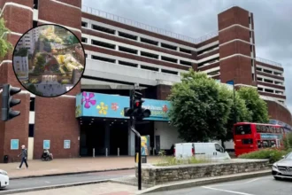 Campaigners Urge Lewisham Council to Block Shopping Centre CPO – Lewisham 2026