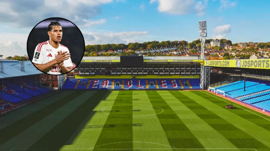 Crystal Palace Agree Deal for Raphaël Le Guen: London 2026