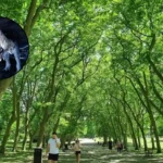 Crystal Palace Park Dinosaur Restoration Costs £27M – South London, 2026