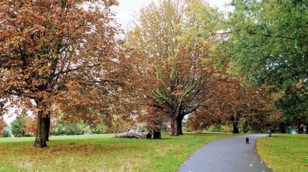 How accessible are Lewisham’s main outdoor sites?