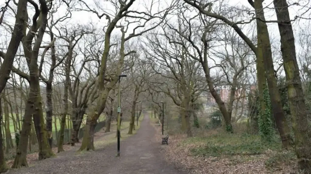 How do Lewisham’s parks and green spaces enhance walkability for visitors?