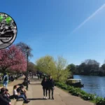 Lime Kicked Out of Richmond as Forest Takes Over – Richmond 2026