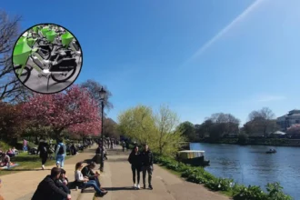 Lime Kicked Out of Richmond as Forest Takes Over – Richmond 2026