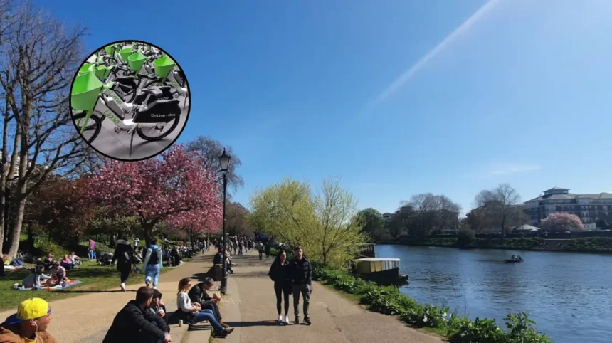 Lime Kicked Out of Richmond as Forest Takes Over – Richmond 2026