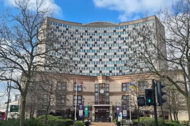 Merton Council Faulted Over Delayed Carer Assessment: South London 2026