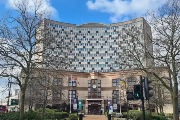 Merton Council Faulted by Ombudsman Over Delayed Carer Assessment in London 2026