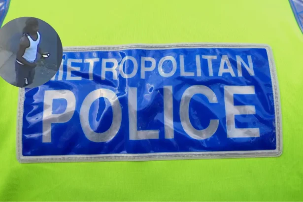 Met Police widen DNA hunt to identify South London rapist