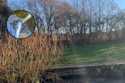 River Pool Pollution Kills Fish and Eels, Beckenham 2026