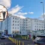 Royal College Finds Consultant Contributed to Patient Deaths, Sutton 2026