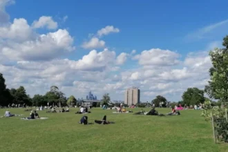 What Are the Best Picnic Spots in Lambeth for Tourists and Families