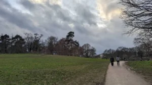 What Are the Most Relaxing Places in Lewisham for Visitors