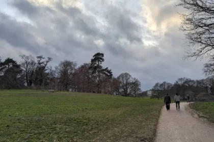 What Are the Most Relaxing Places in Lewisham for Visitors