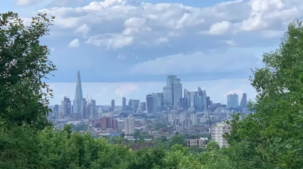 What Are the Top Viewpoints for Panoramic London Skyline Shots in Lewisham?